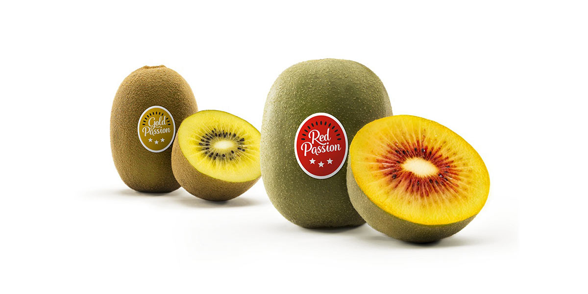Il futuro del kiwi passa da Rimini: arriva il Kiwi Passion Day 